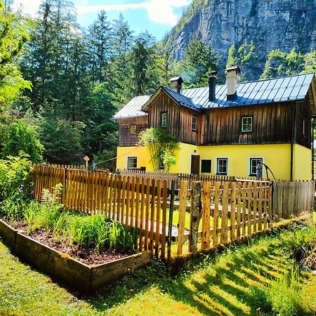 Haus Waldbach Villa Hallstatt Bagian luar foto