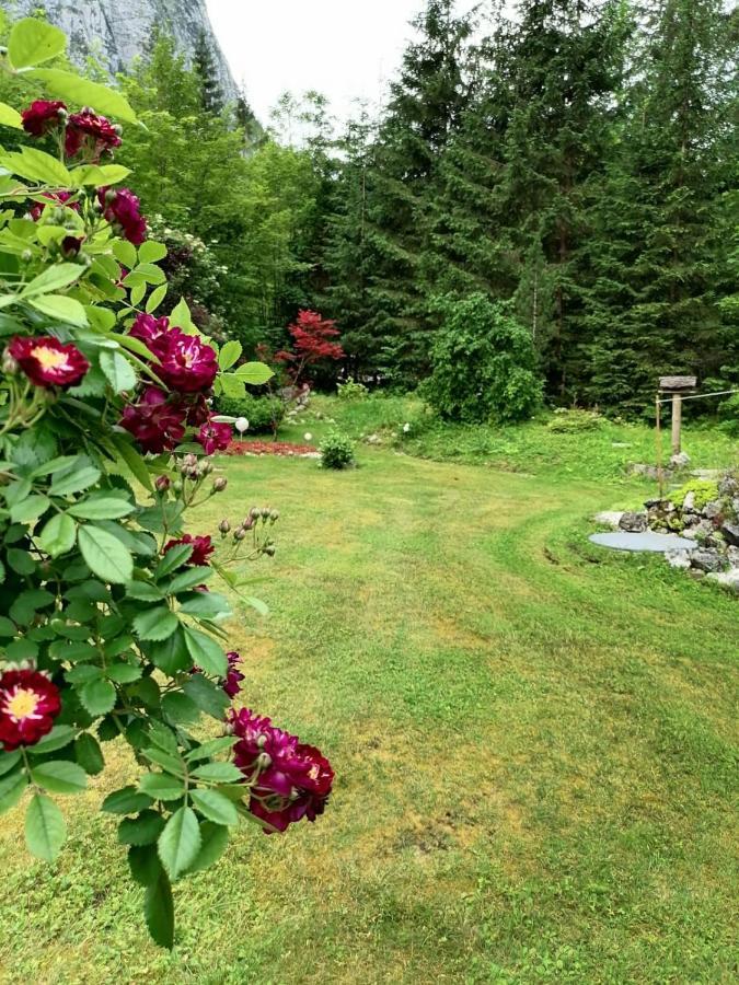 Haus Waldbach Villa Hallstatt Bagian luar foto