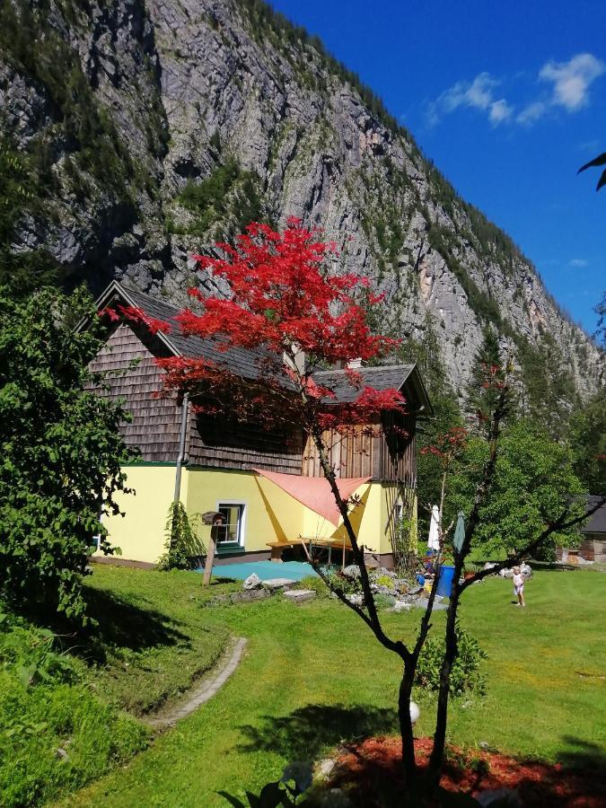 Haus Waldbach Villa Hallstatt Bagian luar foto
