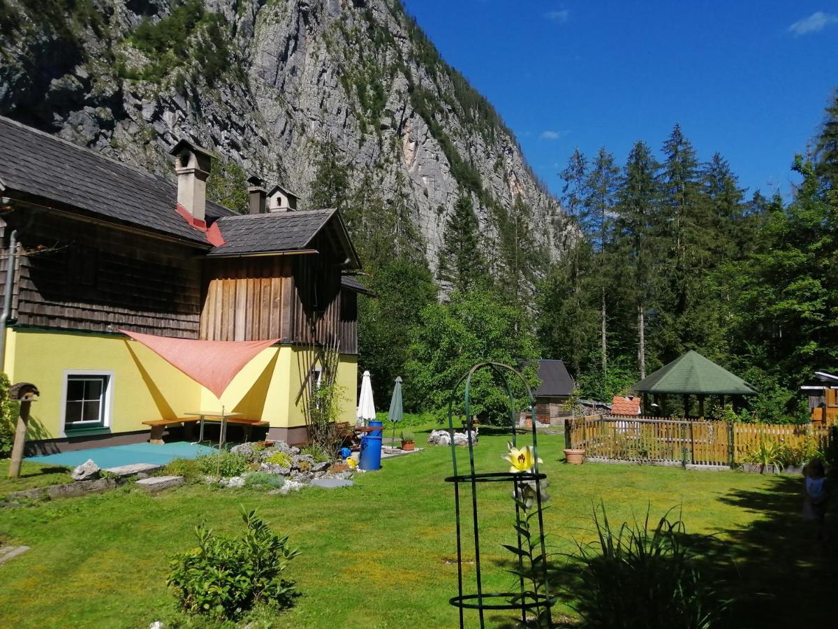 Haus Waldbach Villa Hallstatt Bagian luar foto