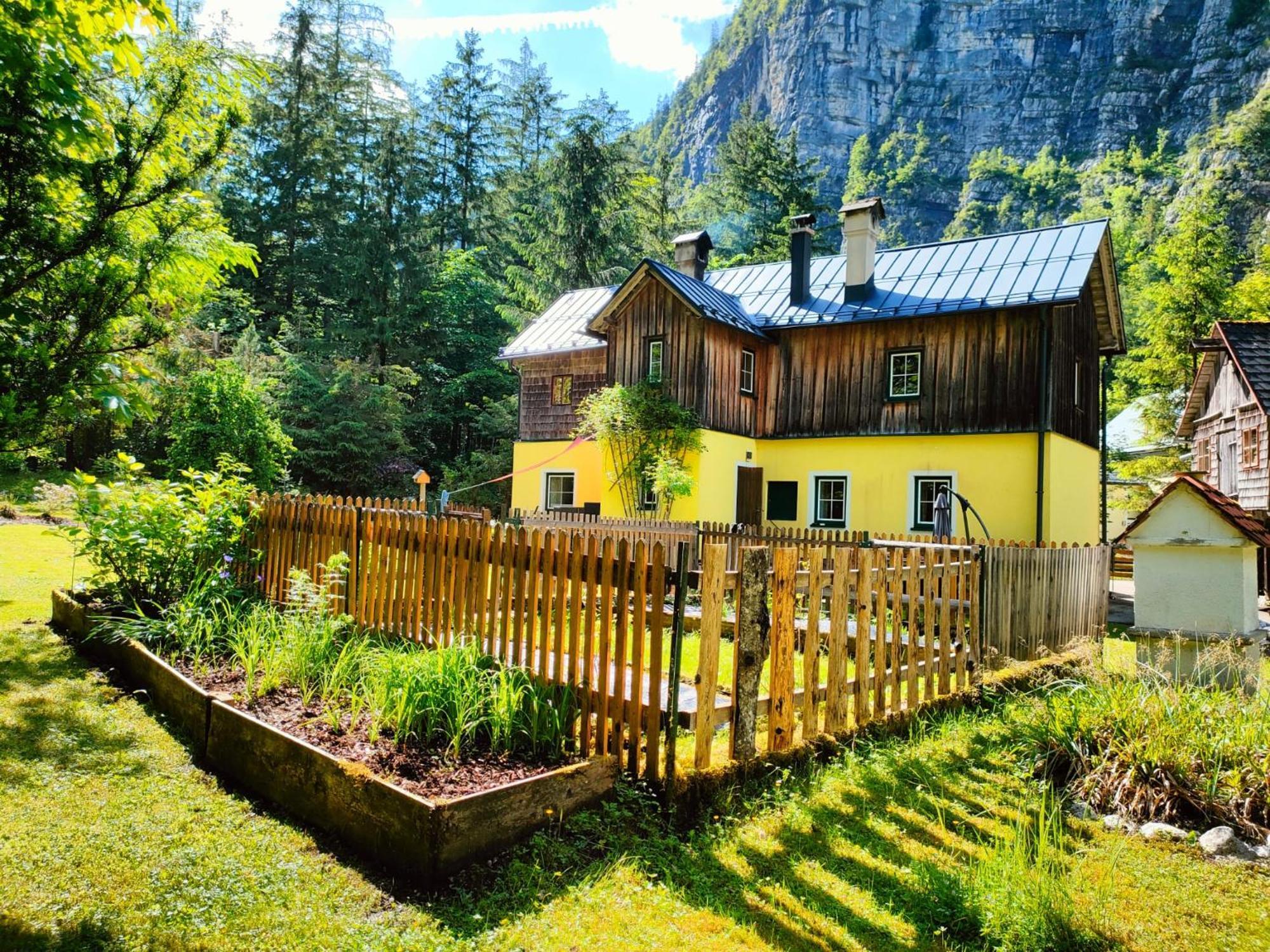 Haus Waldbach Villa Hallstatt Bagian luar foto