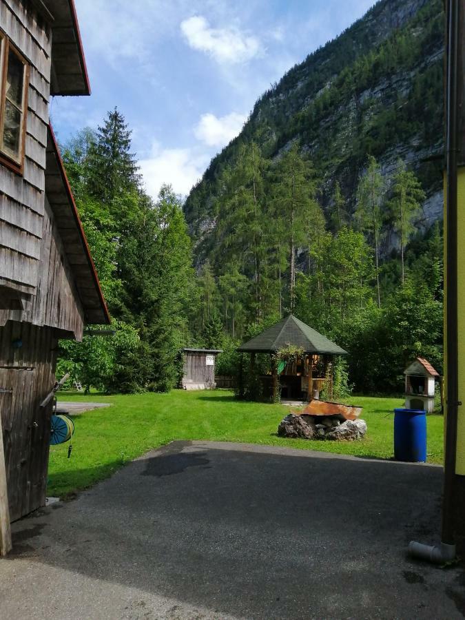 Haus Waldbach Villa Hallstatt Bagian luar foto