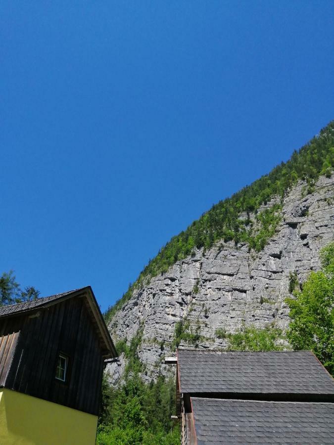 Haus Waldbach Villa Hallstatt Bagian luar foto